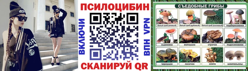 МЕГА ссылка  как найти закладки  Спасск  Псилоцибиновые грибы ЛСД 